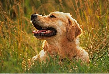 外媒：都2025年了 没有照片模式的游戏算不上好游戏